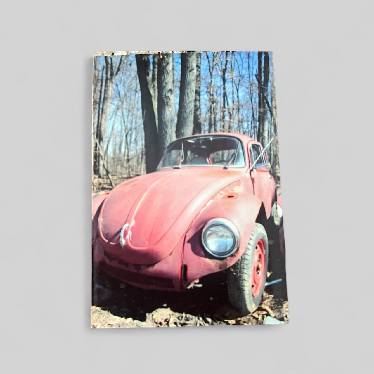 1960s Volkswagen Beetle Earrings