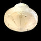 Vintage Three Chain Ceiling Light