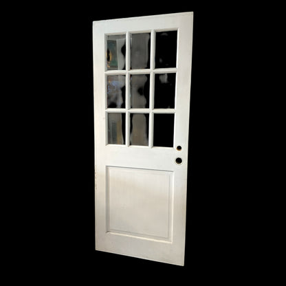 Painted Nine Pane Exterior Door