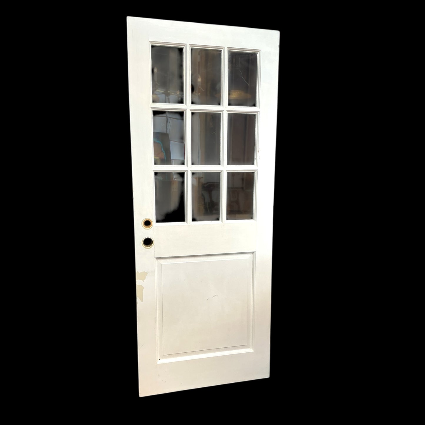 Painted Nine Pane Exterior Door