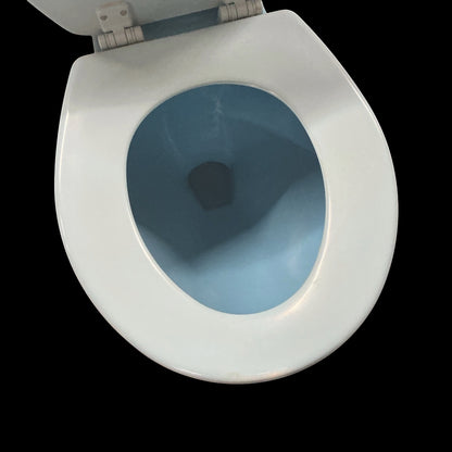 Antique Bemis Mayfair Toilet