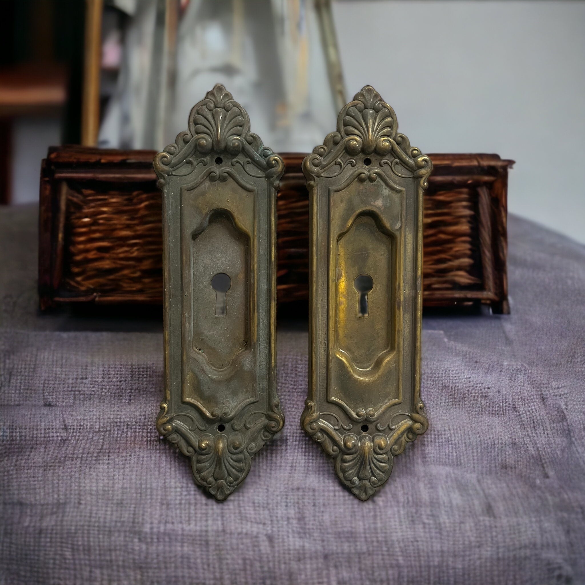 Antique Brass Pocket Door Plates